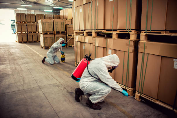 Best Termite Control Services  in Cridersville, OH