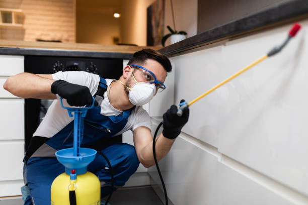 Best Pest Inspection Near Me  in Cridersville, OH