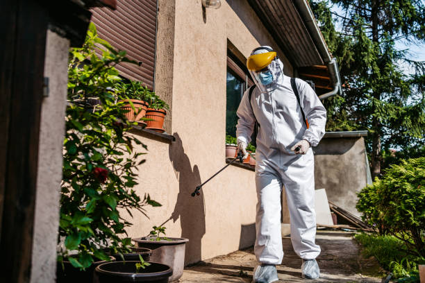 Best Wildlife Control Services  in Cridersville, OH