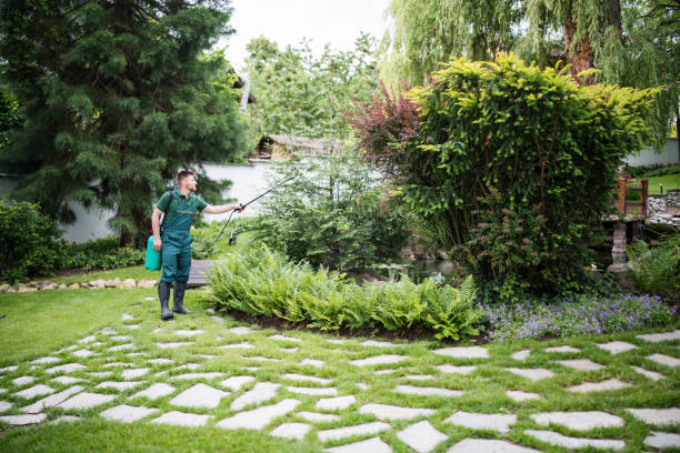 Best Emergency Pest Control  in Cridersville, OH