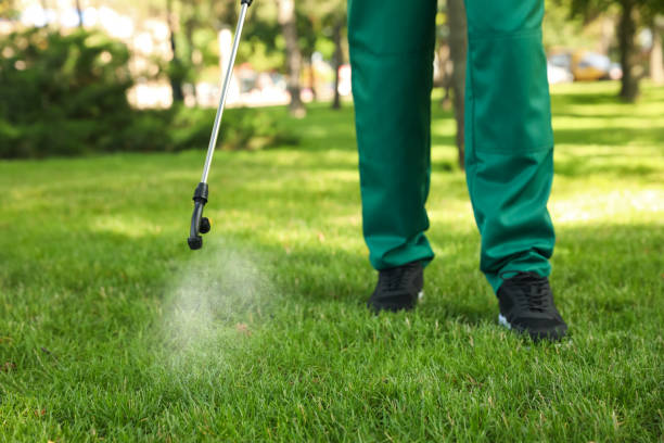  Cridersville, OH Pest Control Pros