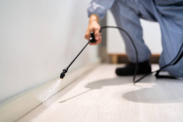 Best Pest Removal Services  in Cridersville, OH