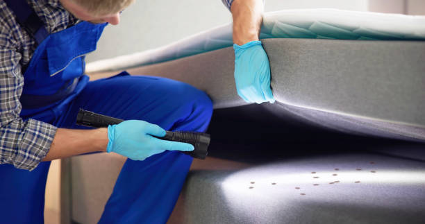 Best Flea Control Services  in Cridersville, OH
