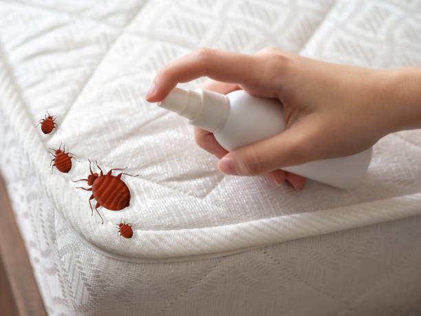 Best Bed Bug Extermination  in Cridersville, OH