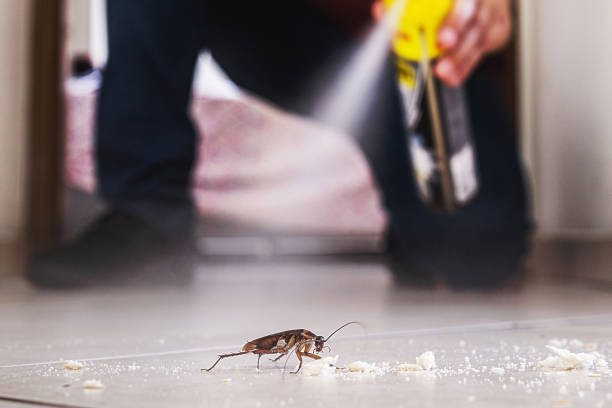 Best Pest Control for Homes  in Cridersville, OH