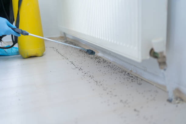 Best Cockroach Control Services  in Cridersville, OH