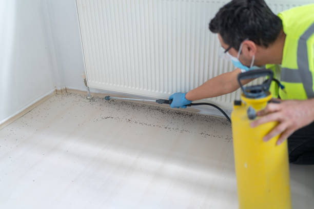 Best Mosquito Control Services  in Cridersville, OH