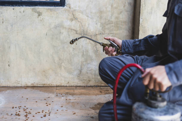 Trusted Cridersville, OH Pest Control Experts