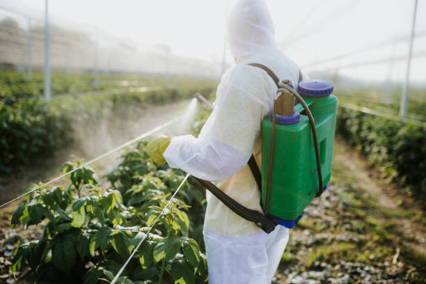 Best Ant Control Services  in Cridersville, OH